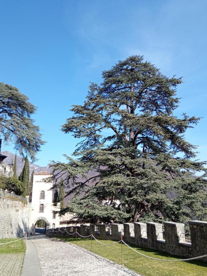 Casa Diso 2016 Apartment Vittorio Veneto Exterior foto
