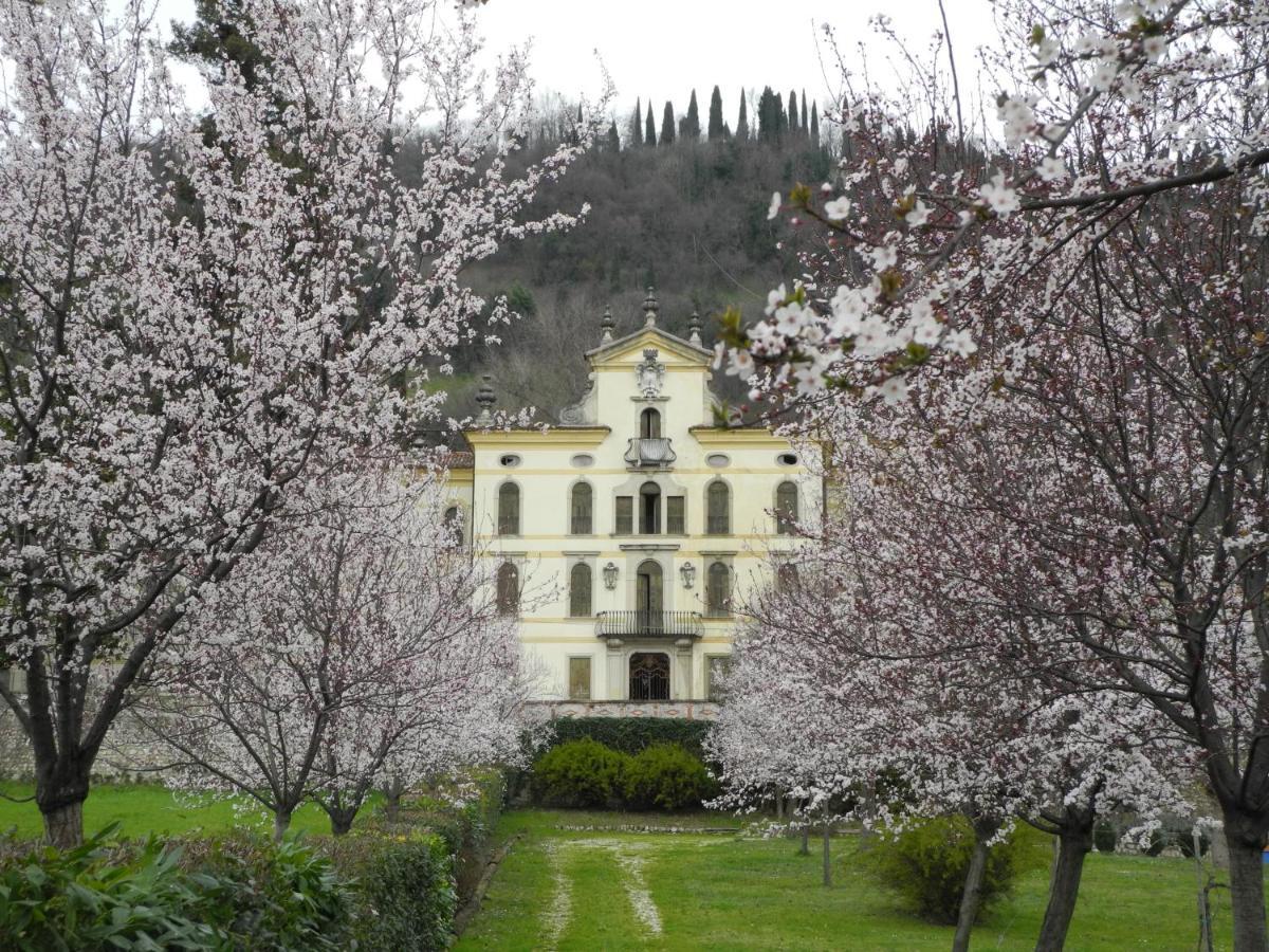 Casa Diso 2016 Apartment Vittorio Veneto Exterior foto